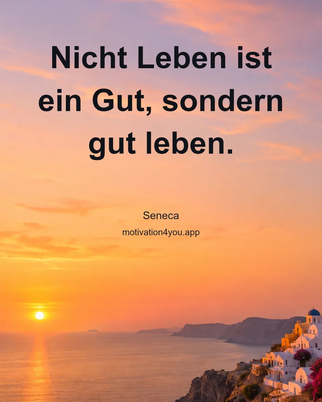 Nicht Leben ist ein Gut, sondern gut leben.