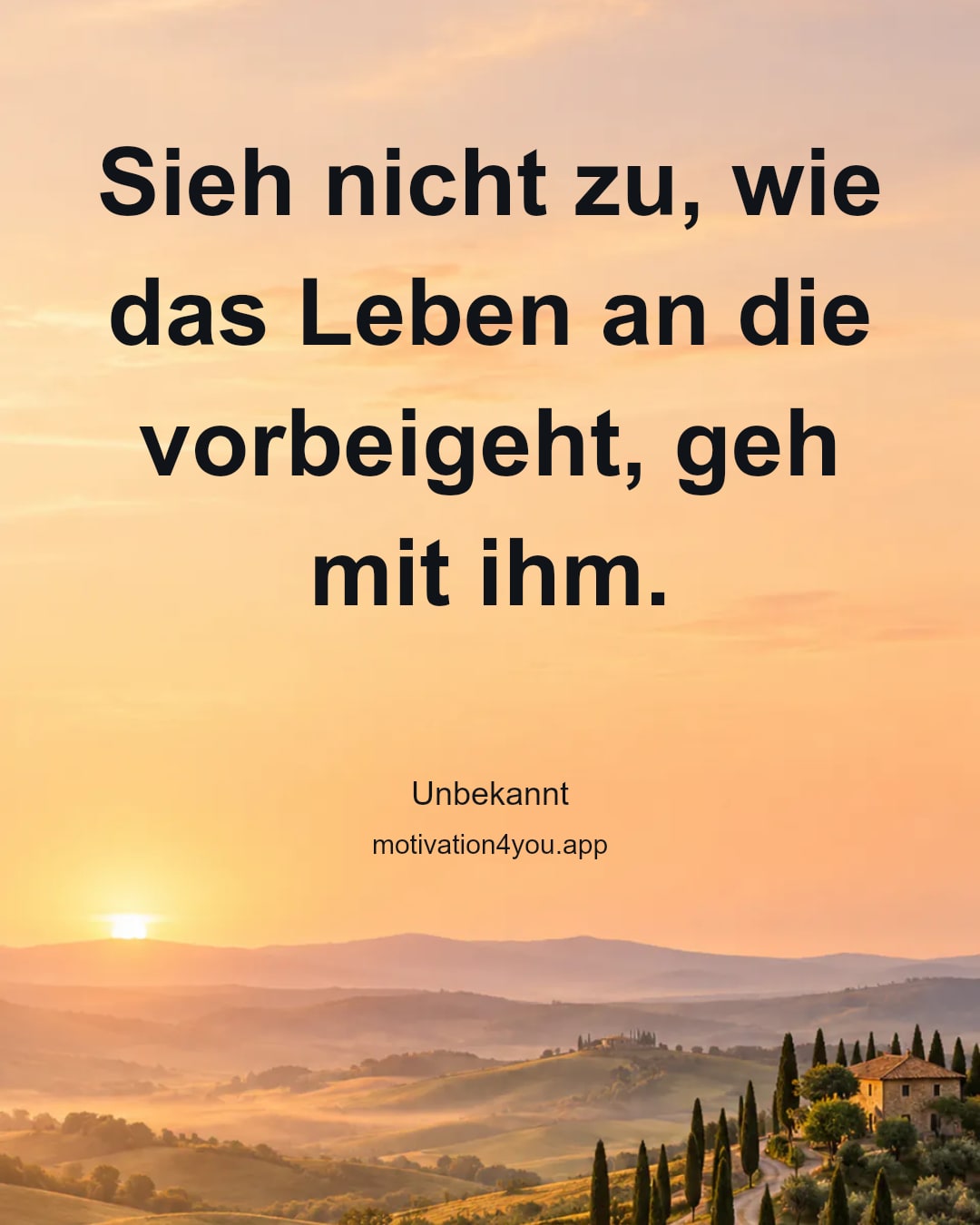 Sieh nicht zu, wie das Leben an die vorbeigeht, geh mit ihm.