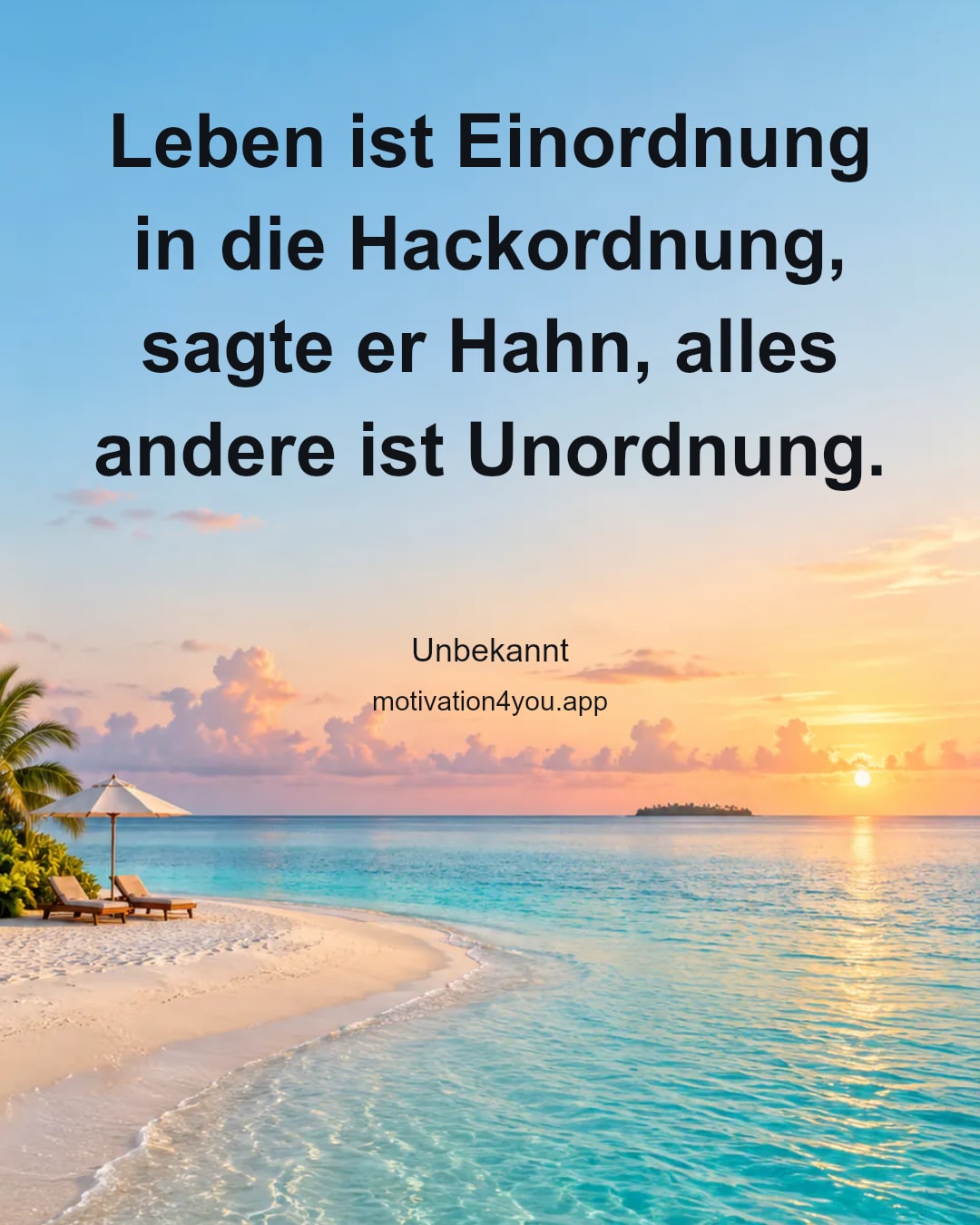 Leben ist Einordnung in die Hackordnung,
sagte er Hahn, alles andere ist Unordnung.