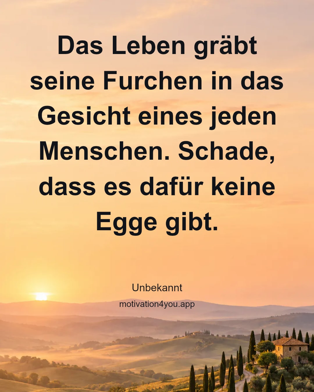 Das Leben gräbt seine Furchen in das Gesicht eines jeden Menschen. Schade, dass es dafür keine Egge gibt.