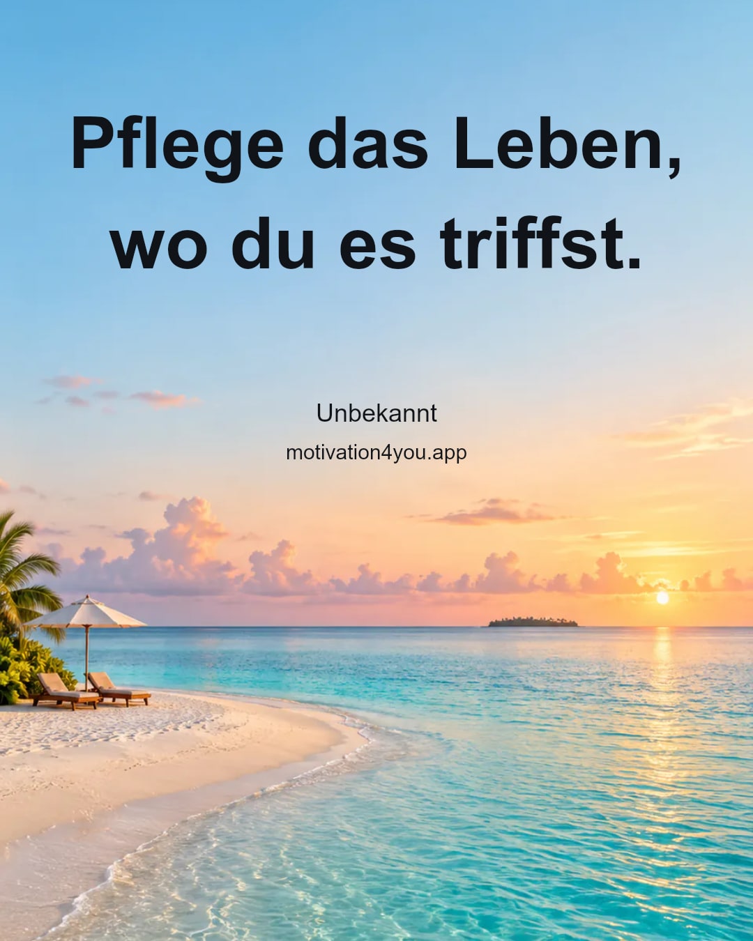 Pflege das Leben, wo du es triffst.
