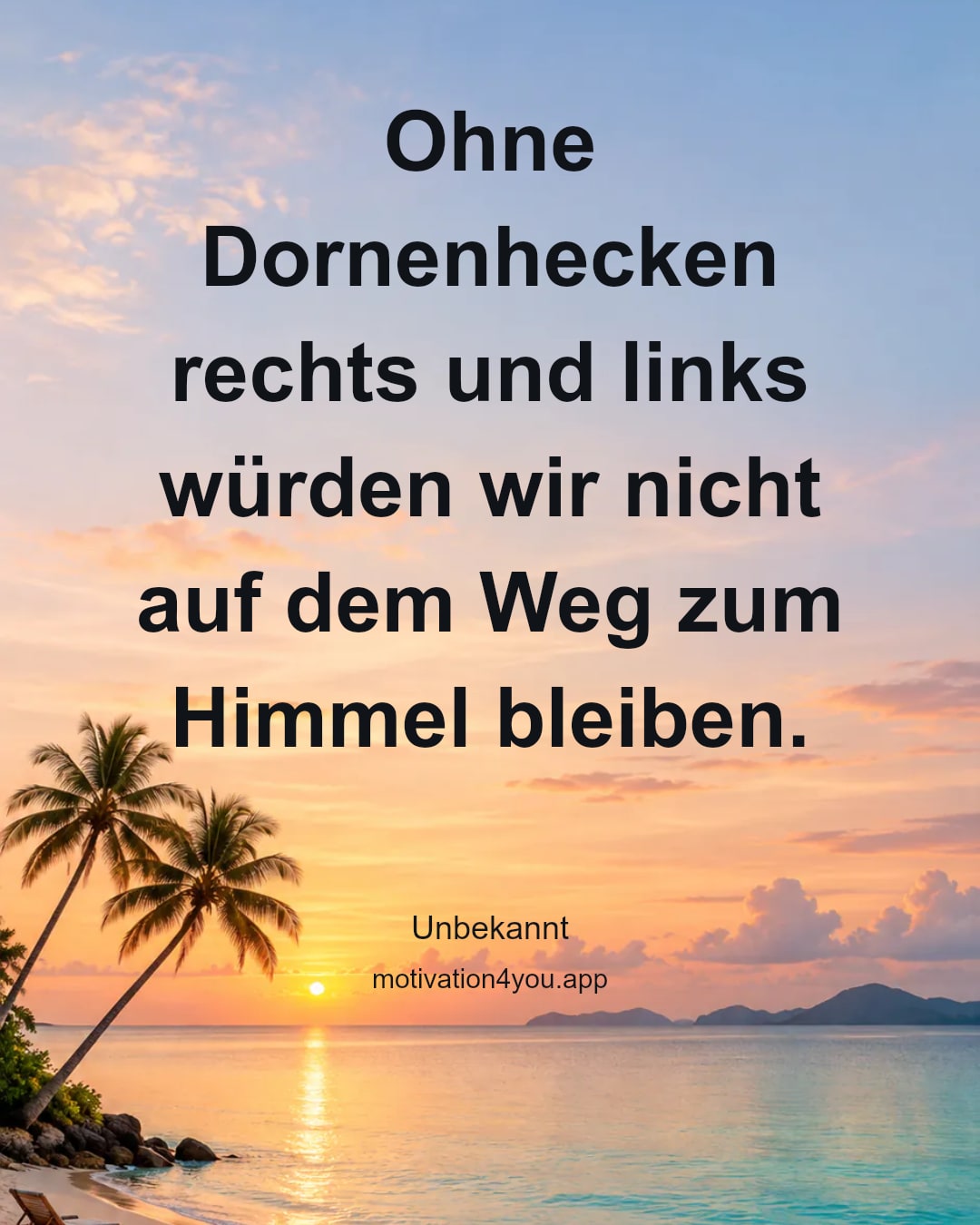 Ohne Dornenhecken rechts und links würden wir nicht auf dem Weg zum Himmel bleiben.