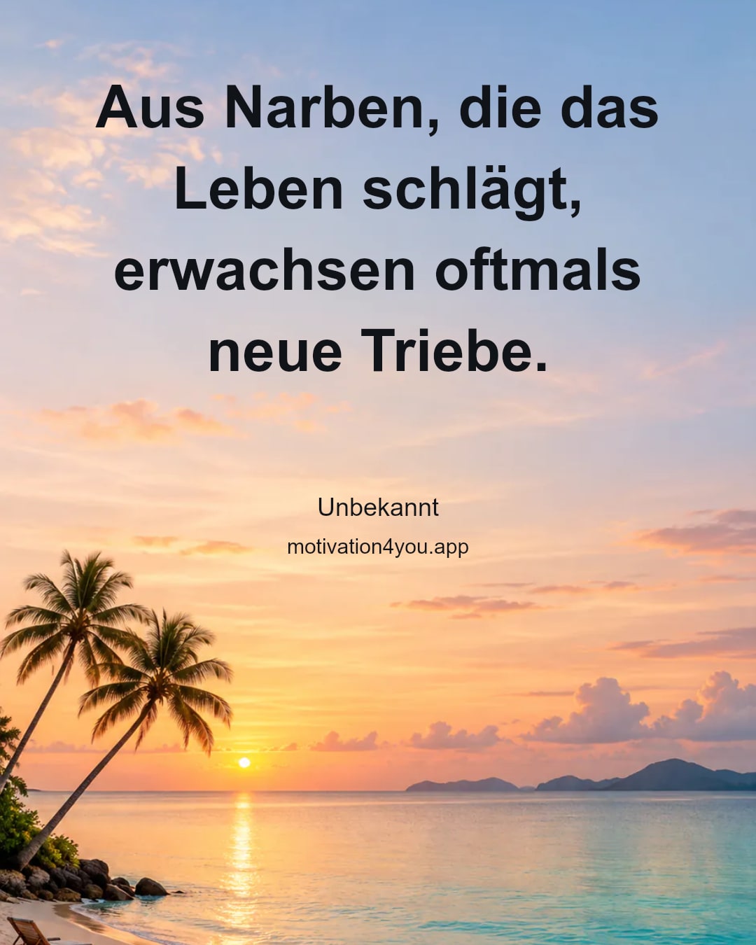Aus Narben, die das Leben schlägt, erwachsen oftmals neue Triebe.