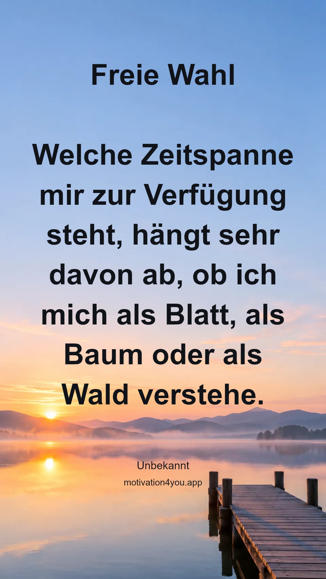 Freie Wahl
Welche Zeitspanne mir zur Verfügung steht, hängt sehr davon ab, ob ich mich als Blatt, als Baum oder als Wald verstehe.