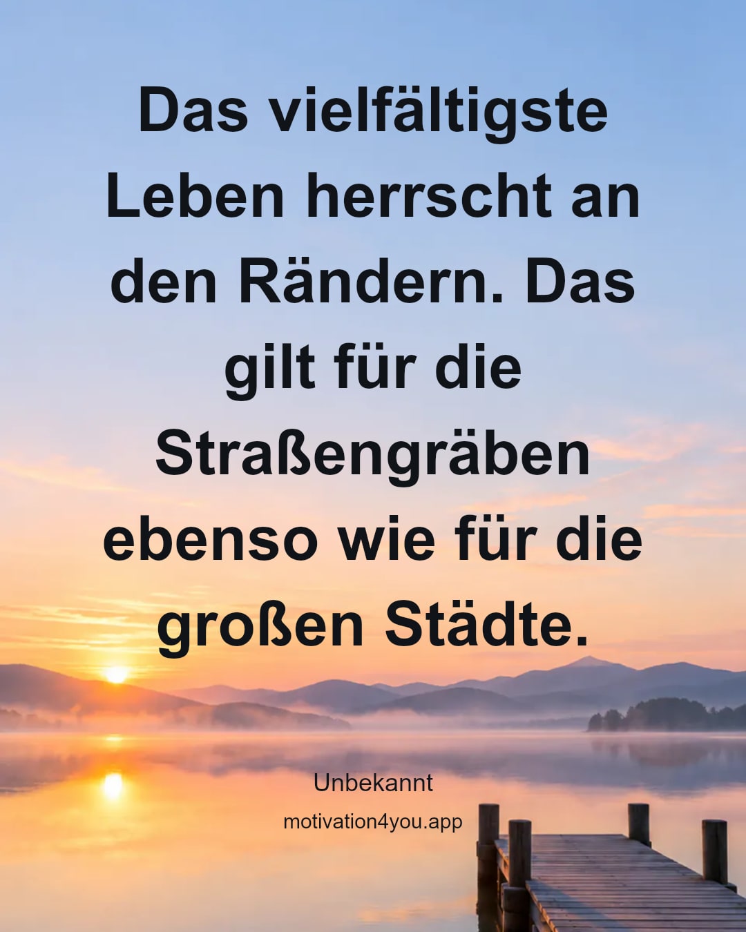 Das vielfältigste Leben herrscht an den Rändern. Das gilt für die Straßengräben ebenso wie für die großen Städte.
