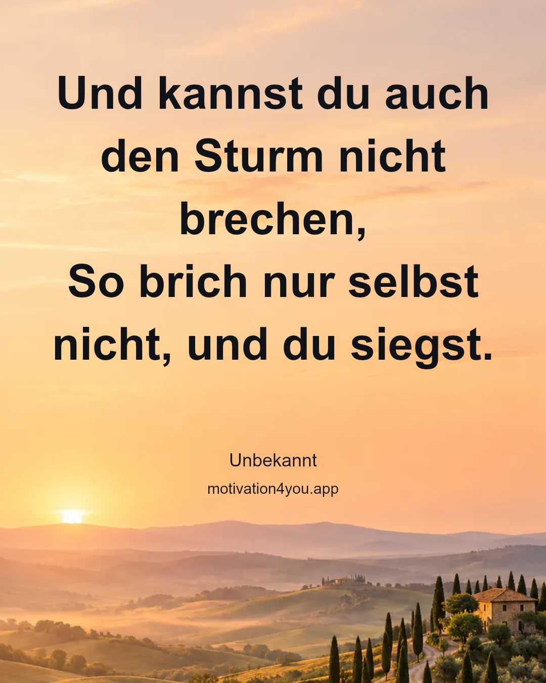 Und kannst du auch den Sturm nicht brechen,
So brich nur selbst nicht, und du siegst.