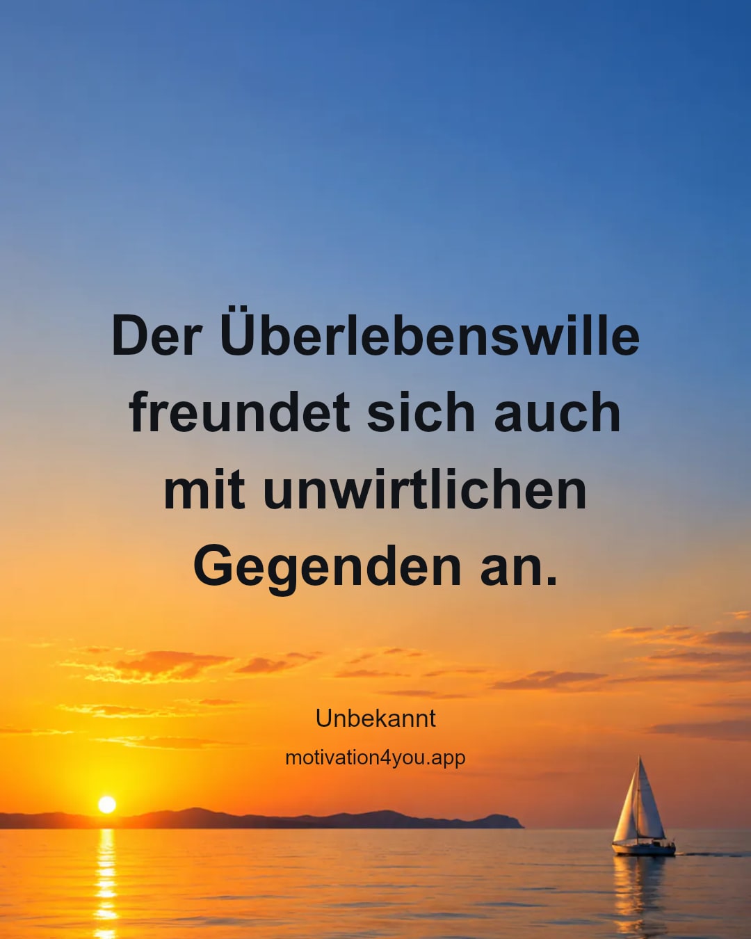 Der Überlebenswille freundet sich auch
mit unwirtlichen Gegenden an.