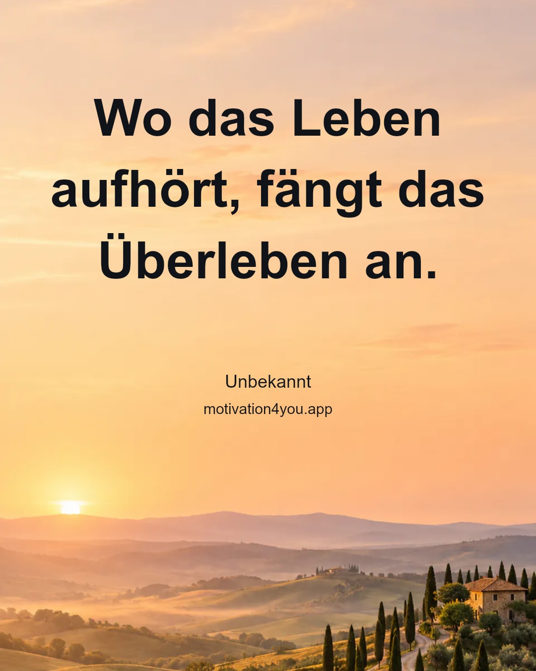 Wo das Leben aufhört, fängt das Überleben an.