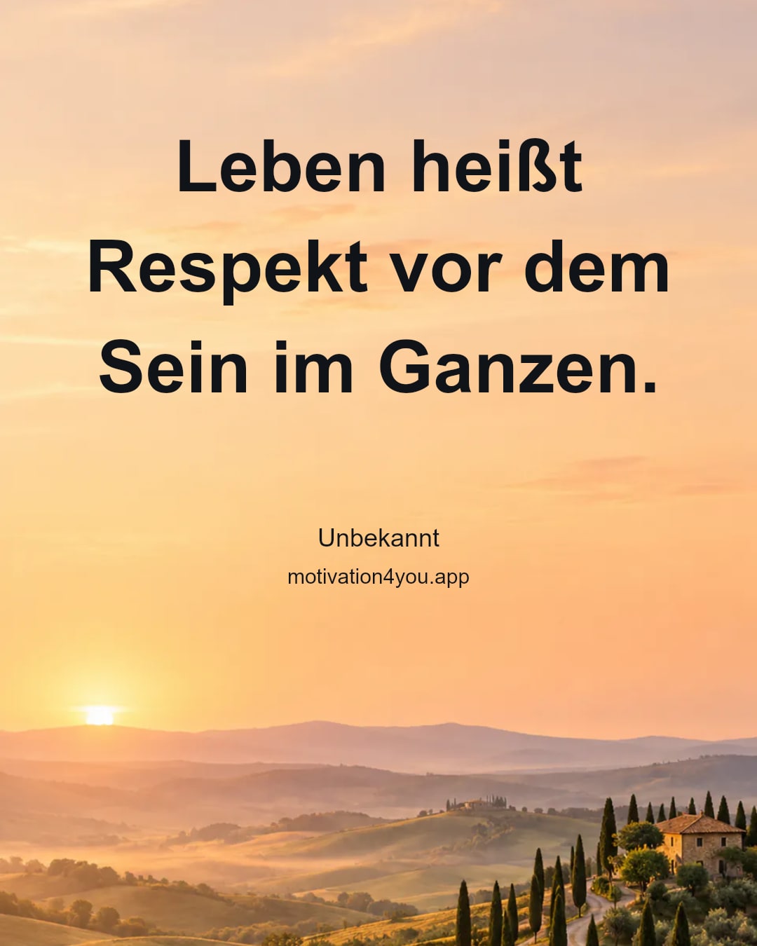 Leben heißt Respekt vor dem Sein im Ganzen.