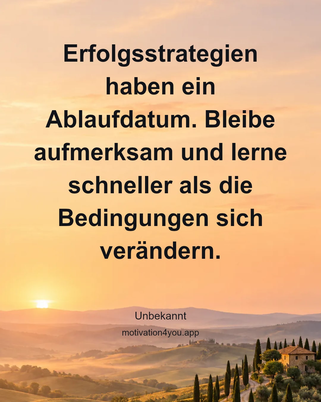 Erfolgsstrategien haben ein Ablaufdatum. Bleibe aufmerksam und lerne schneller als die Bedingungen sich verändern.
