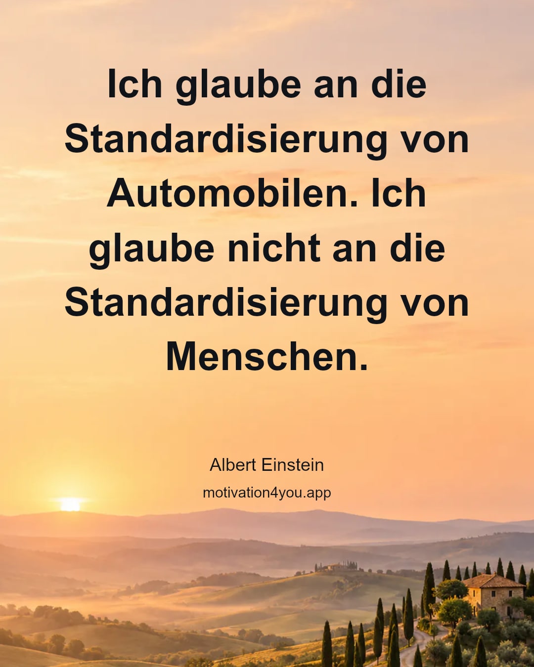 Ich glaube an die Standardisierung von Automobilen. Ich glaube nicht an die Standardisierung von Menschen.