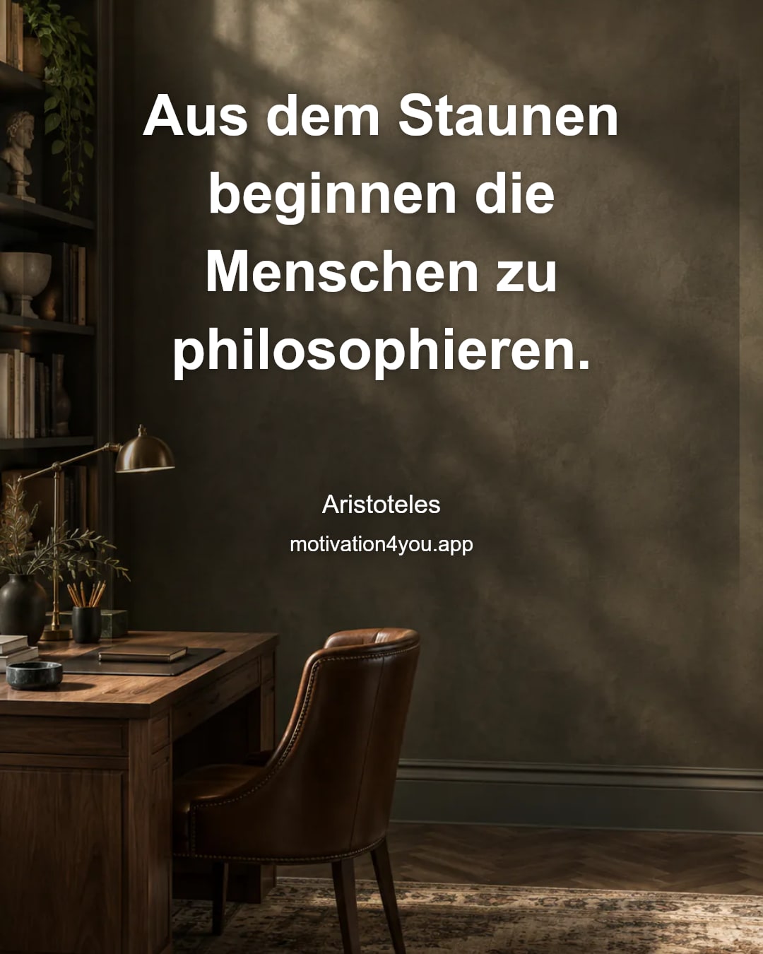 Aus dem Staunen beginnen die Menschen zu philosophieren.
