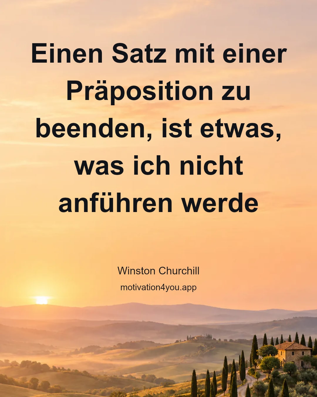 Einen Satz mit einer Präposition zu beenden, ist etwas, was ich nicht anführen werde