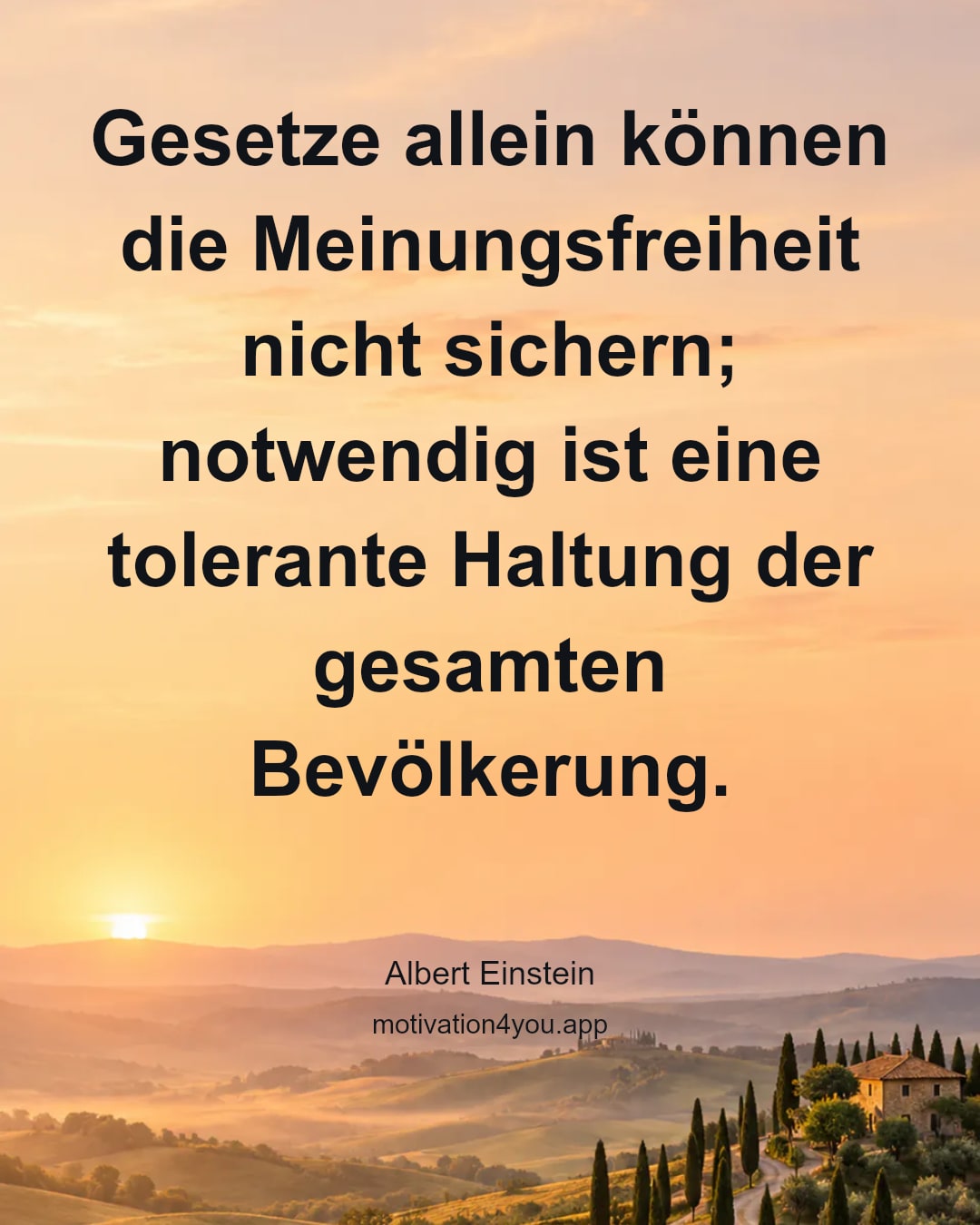 Gesetze allein können die Meinungsfreiheit nicht sichern; notwendig ist eine tolerante Haltung der gesamten Bevölkerung.