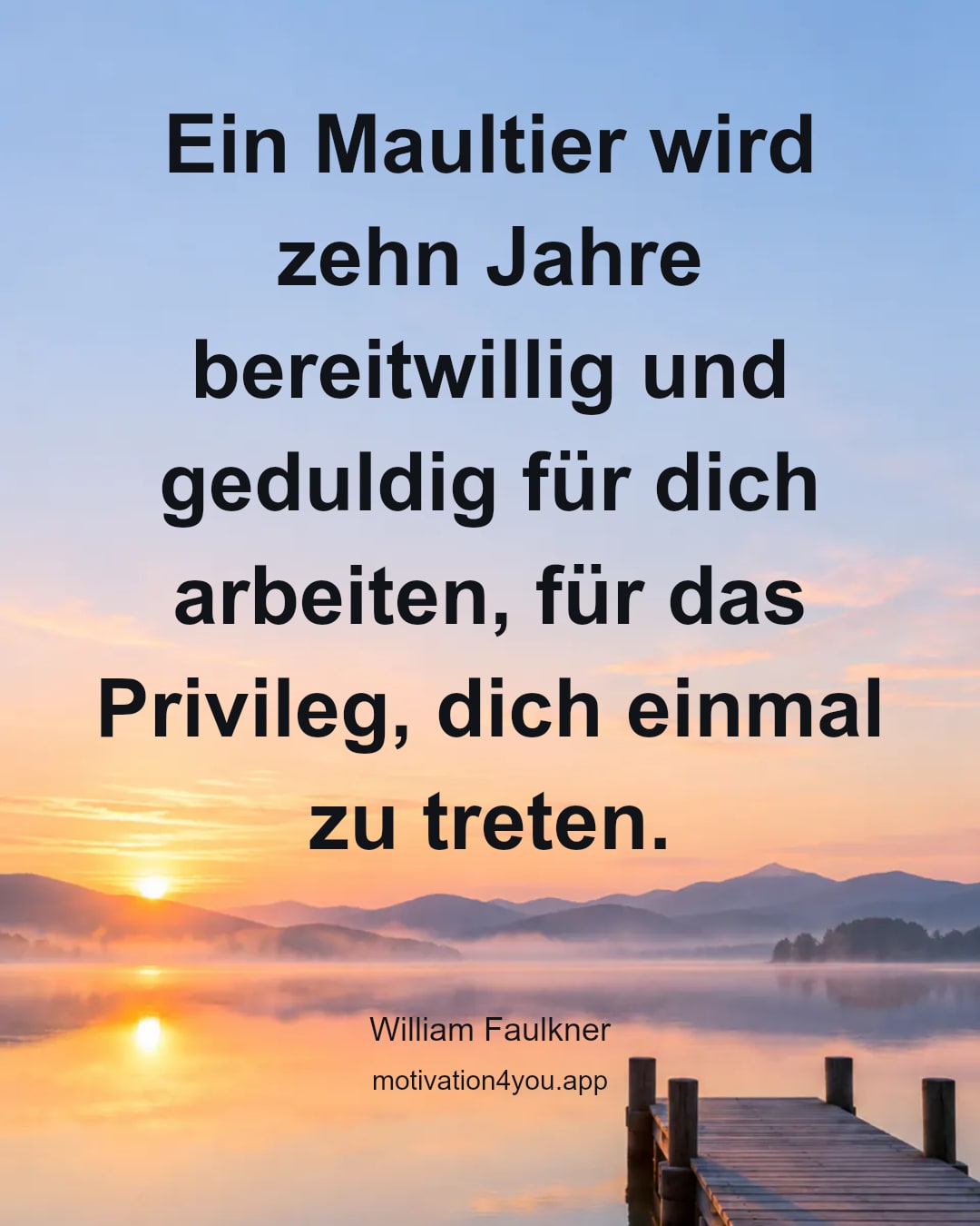 Ein Maultier wird zehn Jahre bereitwillig und geduldig für dich arbeiten, für das Privileg, dich einmal zu treten.