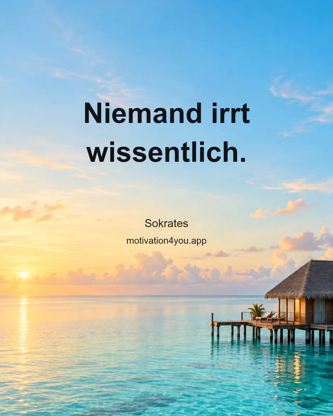 Niemand irrt wissentlich.