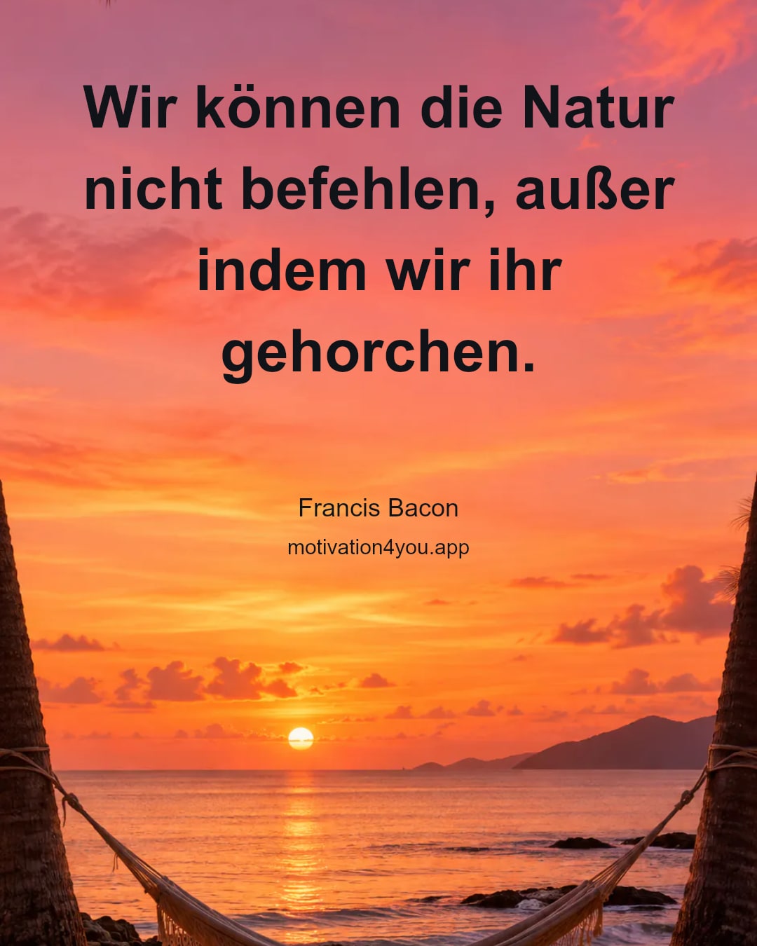 Wir können die Natur nicht befehlen, außer indem wir ihr gehorchen.