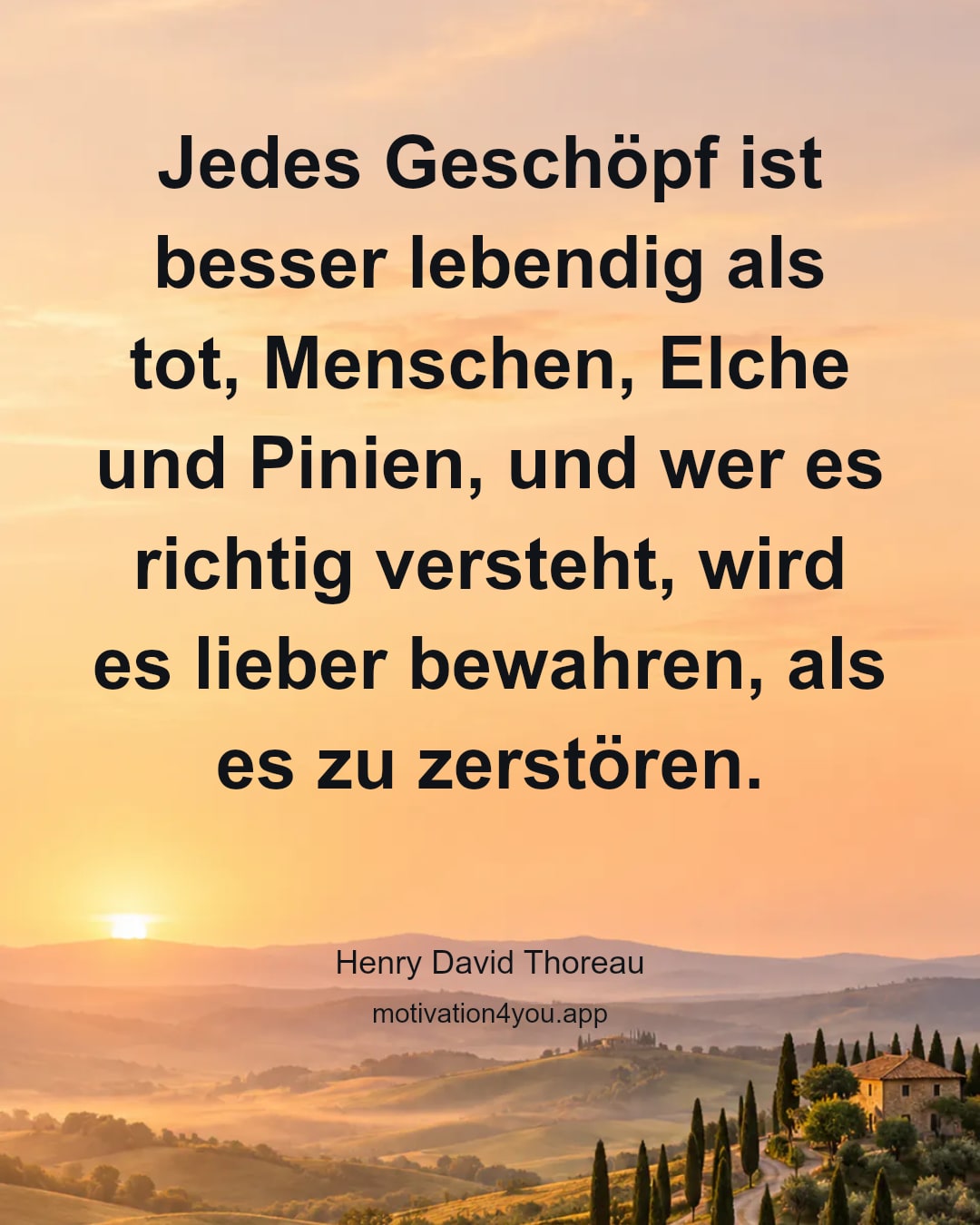 Jedes Geschöpf ist besser lebendig als tot, Menschen, Elche und Pinien, und wer es richtig versteht, wird es lieber bewahren, als es zu zerstören.