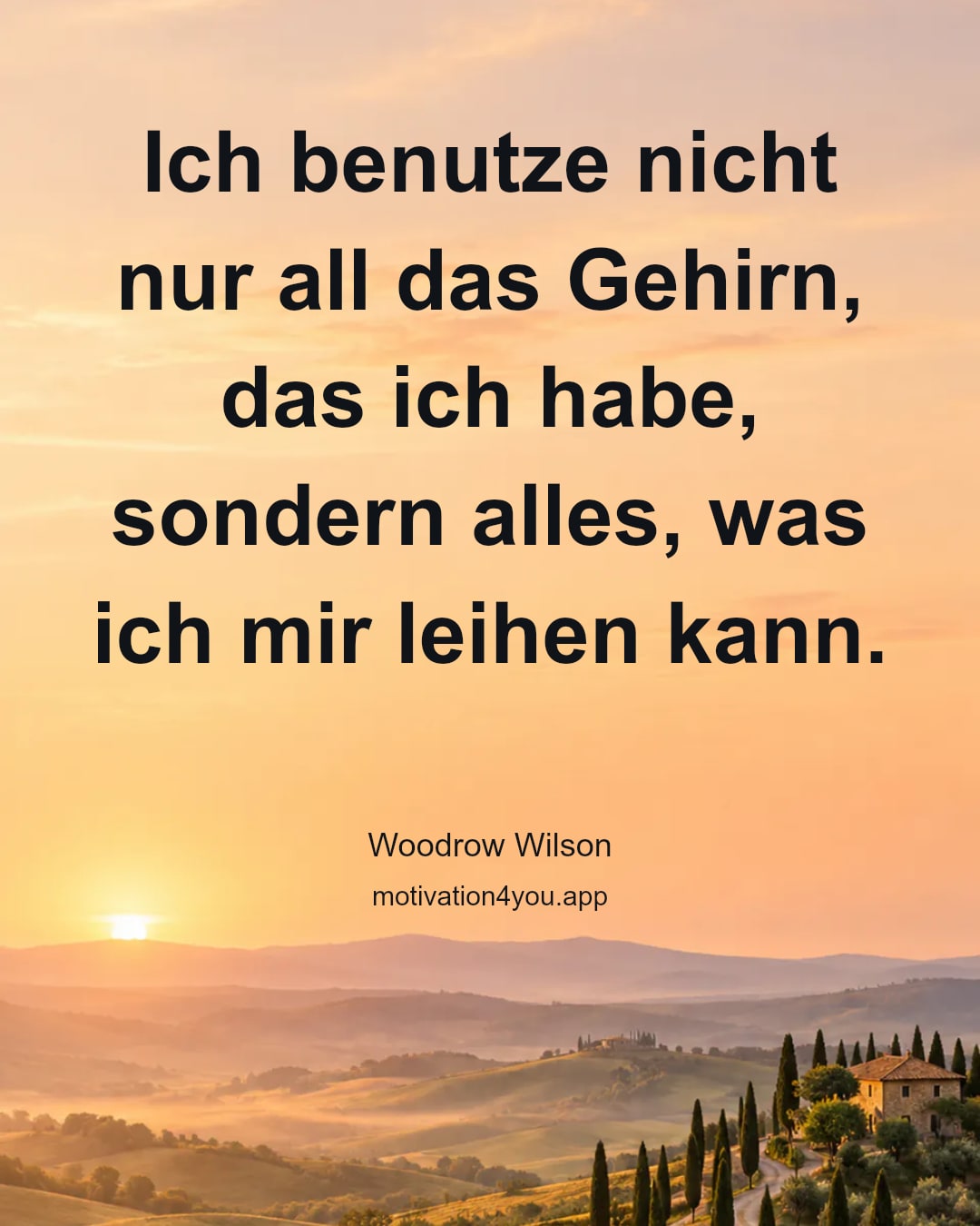 Ich benutze nicht nur all das Gehirn, das ich habe, sondern alles, was ich mir leihen kann.
