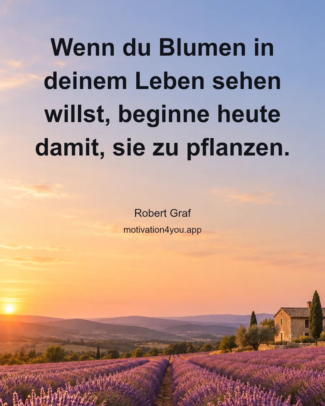 Wenn du Blumen in deinem Leben sehen willst, beginne heute damit, sie zu pflanzen.