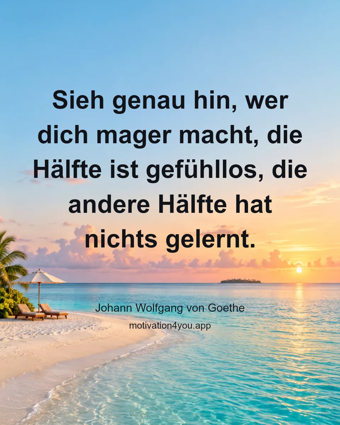 Sieh genau hin, wer dich mager macht, die Hälfte ist gefühllos, die andere Hälfte hat nichts gelernt.