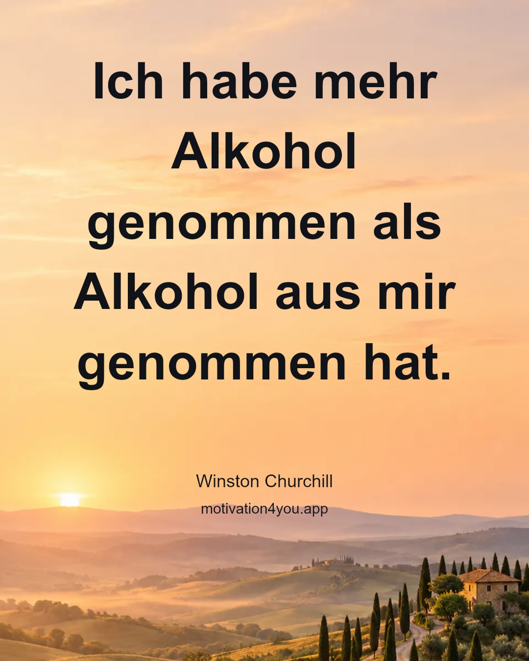 Ich habe mehr Alkohol genommen als Alkohol aus mir genommen hat.
